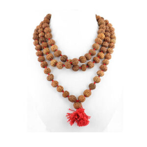 6 mukhi Rudraksha Mala