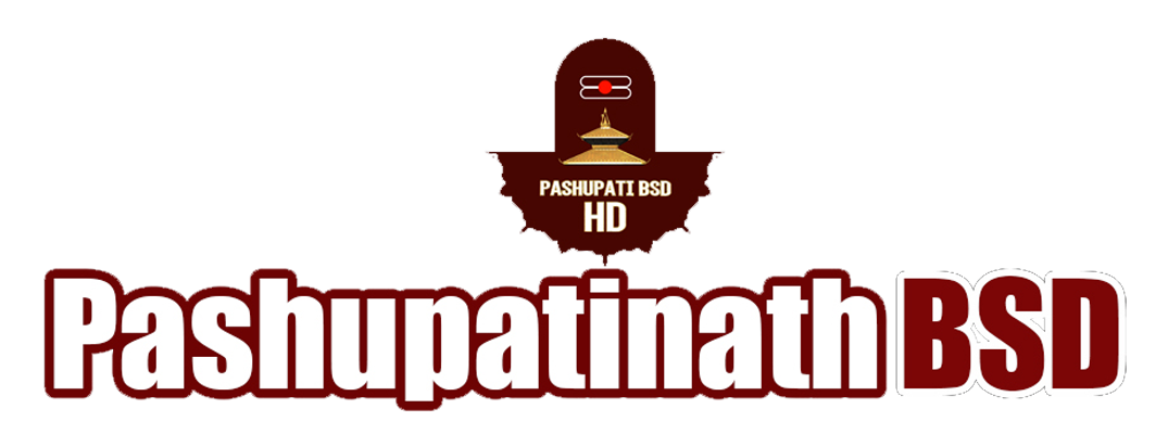 Pashupatinathlivedarshan.com